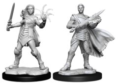 MTG Unpainted Miniatures - Rowan & Will Kenrith