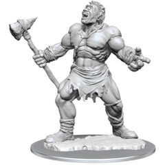 D&D Nolzur's Marvelous Unpainted Minis: W16 Cyclops