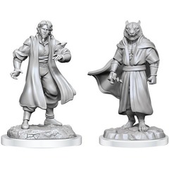 Critical Role Miniatures - Male Human Sorcerer & Tiger Demon