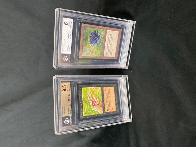 MTG 5x Acrylic BGS Card Protector Display Guard (60007)