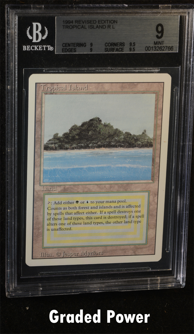 Tropical Island  9  (2766) Quad ++