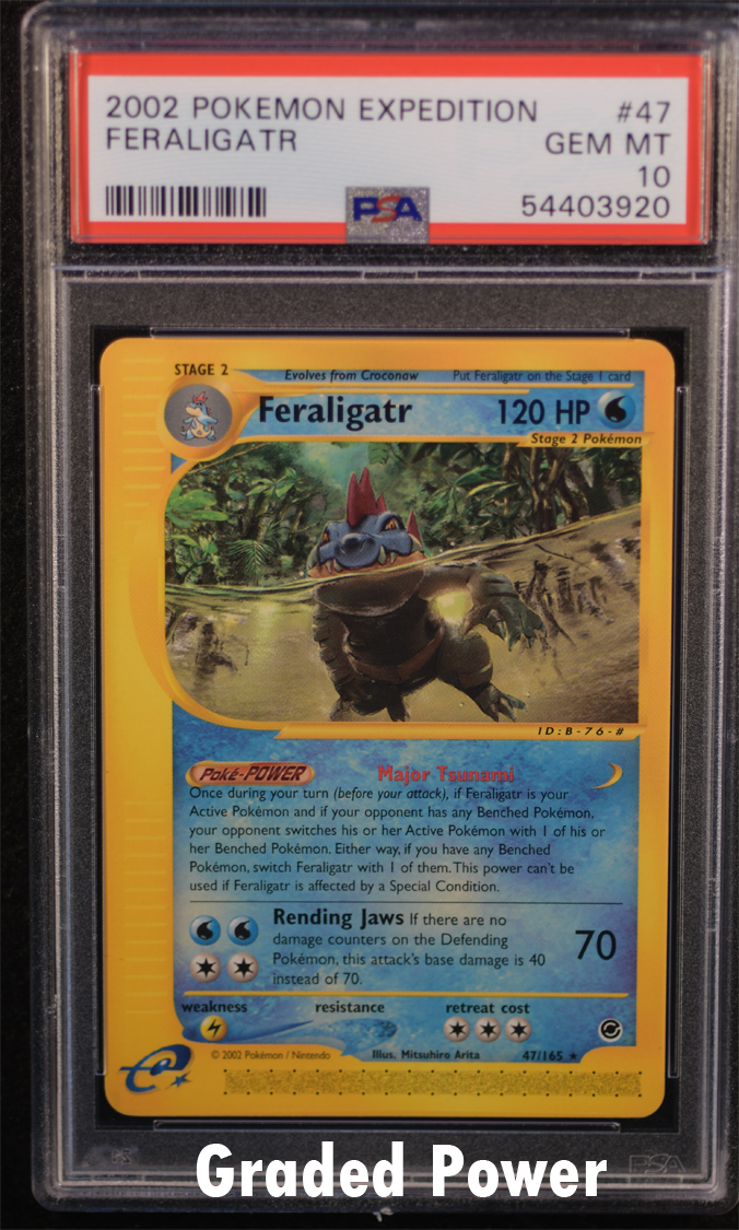 Feraligatr PSA 10 (3920) 47/165