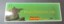 Invasion Bumper Sticker SET