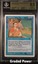 Lady Sun BGS 9.5