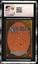 Spirit Link CGC 10 (6028)
