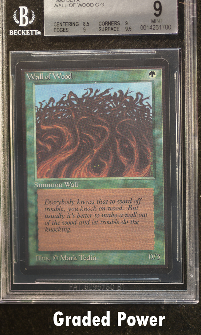 Wall of Wood  9  (1700)