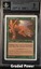 Stalking Tiger BGS 9