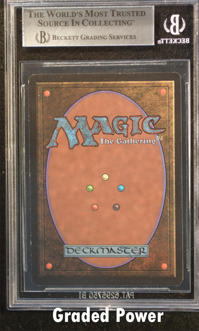 Sleight of Mind  8.5  (7382)