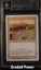Volunteer Militia BGS 9