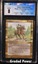 Adun Oakenshield CGC 8 (6002)
