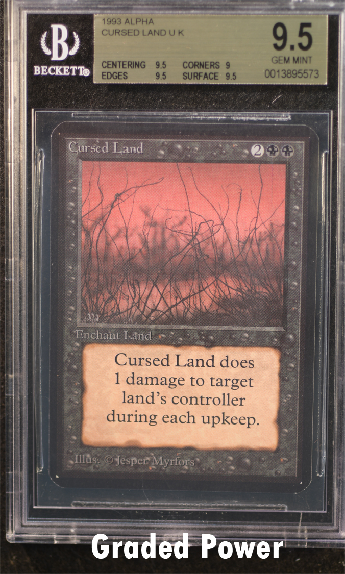 Cursed Land  9.5