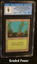 Forest (Mushrooms) CGC 9 Quad +