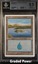 Island BGS 8.5