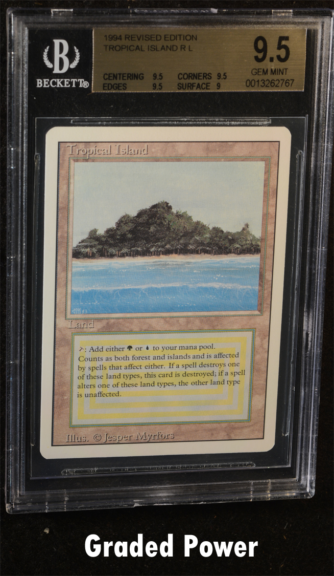 Tropical Island  9.5  (2767)