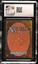 Triassic Egg CGC 10 (6046)