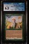 Worldly Tutor CGC 6.5 (2034)