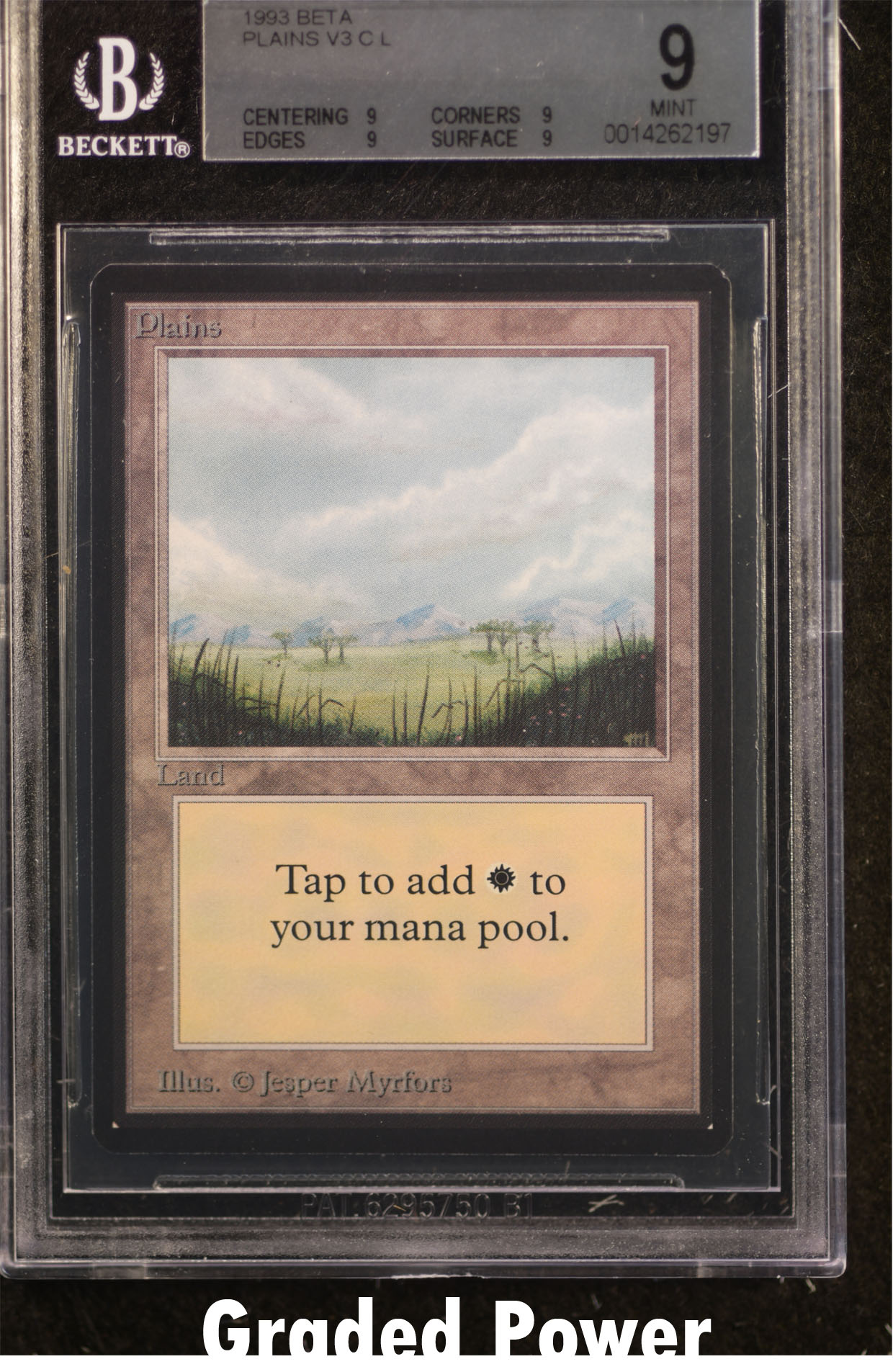 Plains BGS 9 QUAD (OAC-2197)