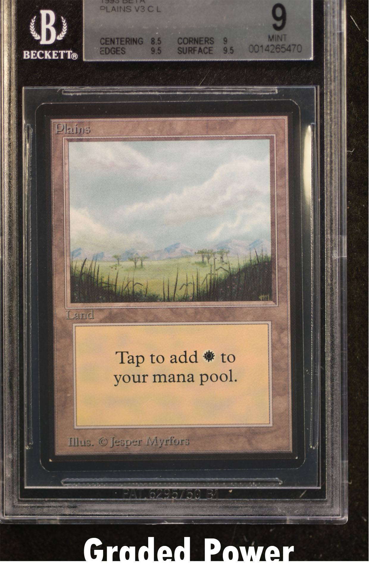 Plains BGS 9 (5470)