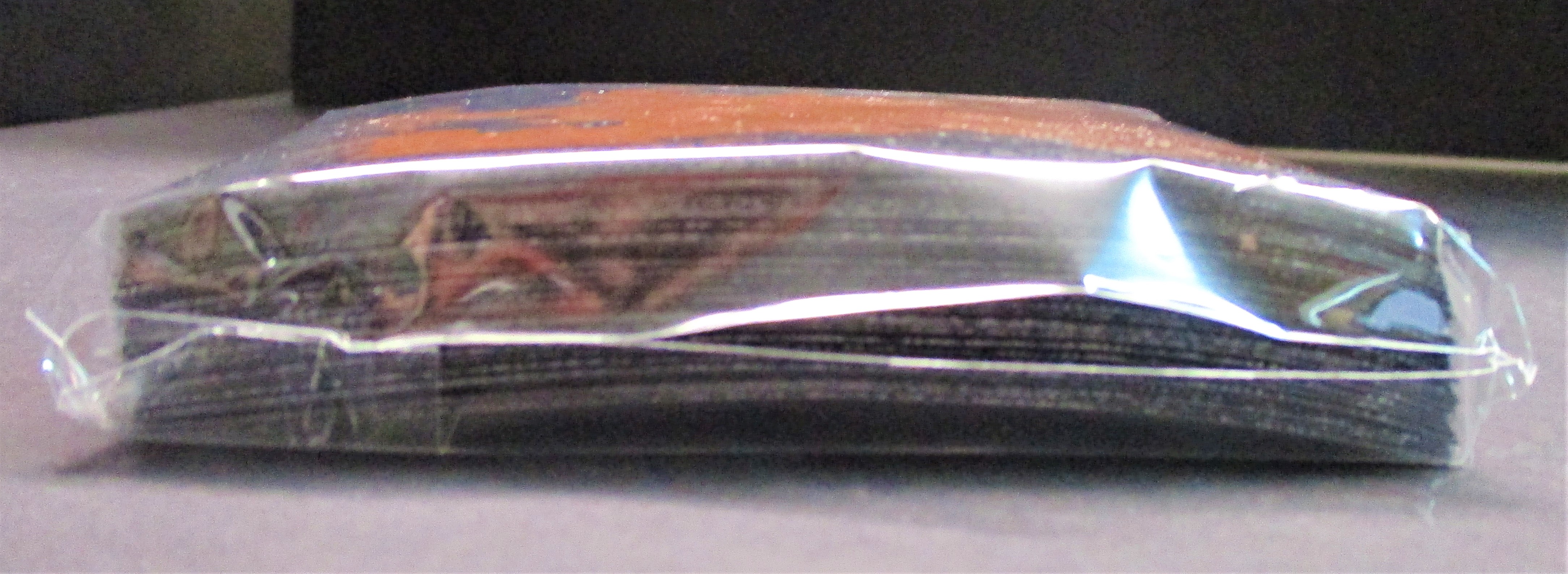Champions Path Card Sleeves