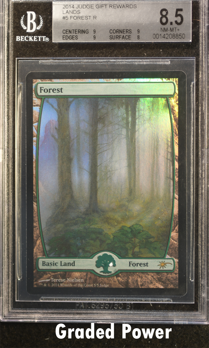 Judge Reward Forest  8.5  (8850)