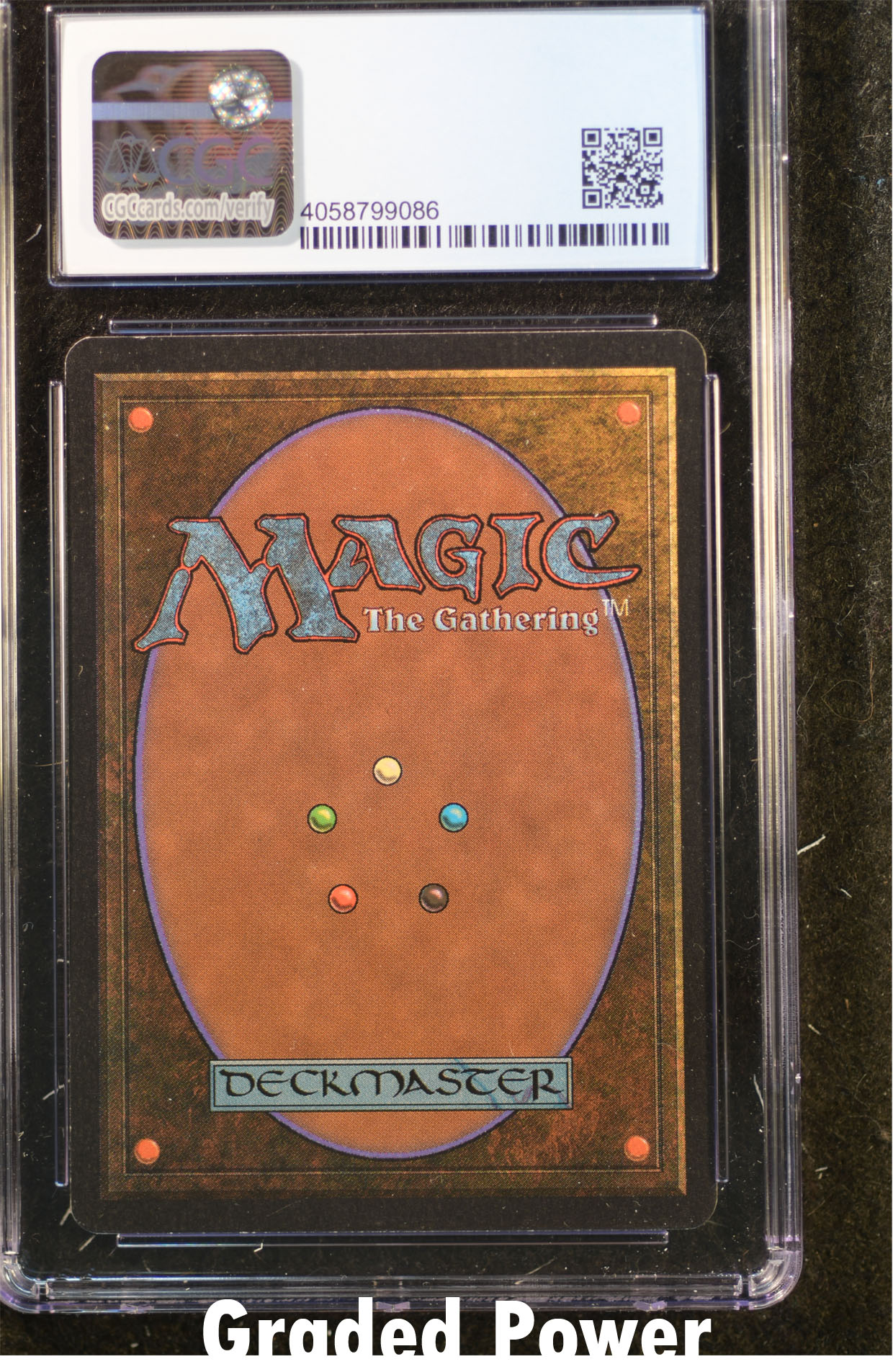 Ironroot Treefolk CGC 8 (9086)