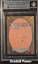 Renegade Troops BGS 9