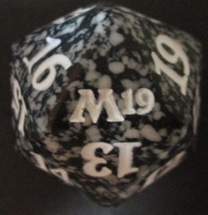 M19 22mm Spindown Dice (Black)