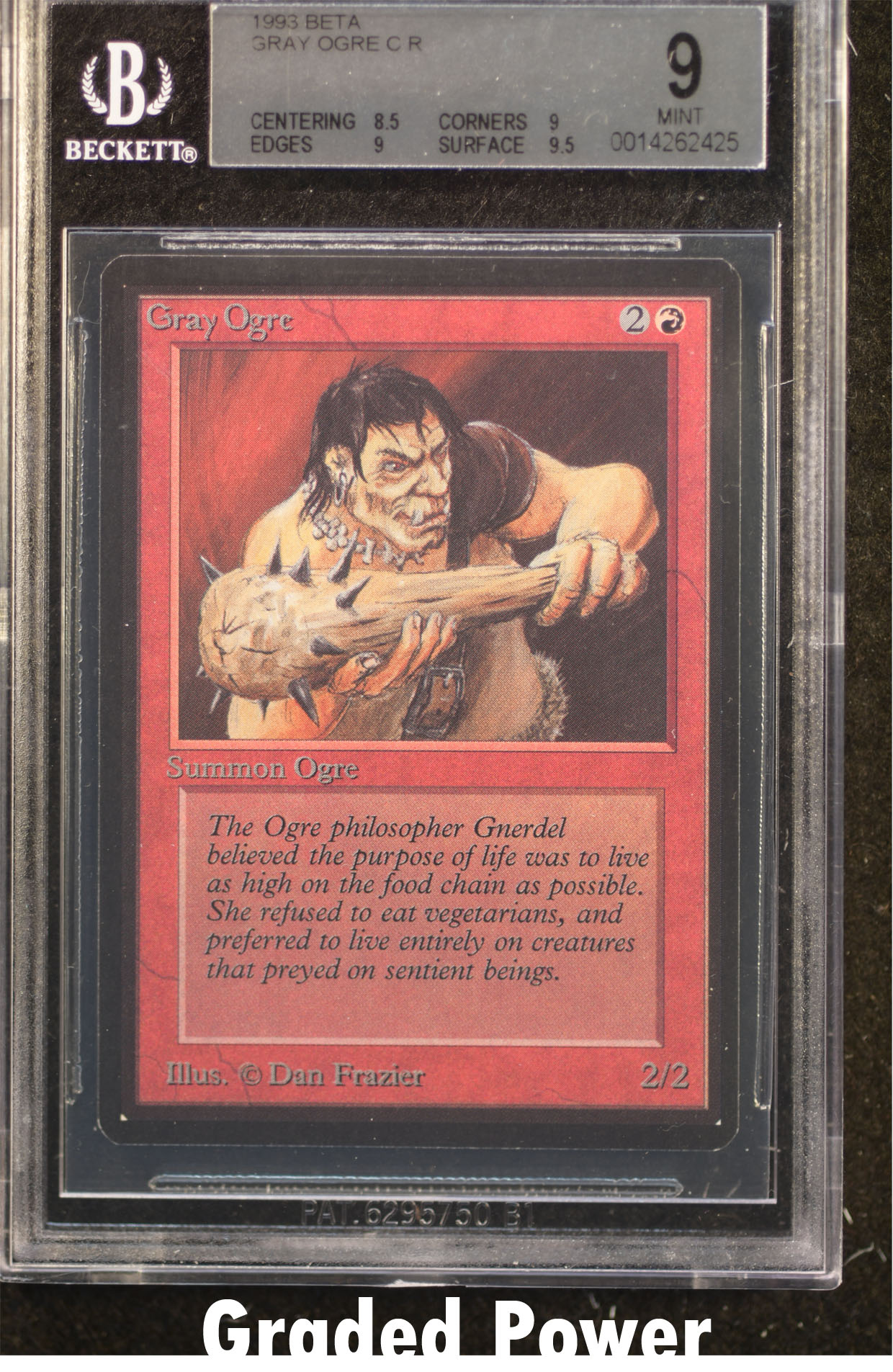 Gray Ogre BGS 9 (2425)