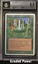 Concordant Crossroads   8.5  (9084)