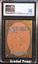 Damping Engine CGC 8 FOIL (6108)