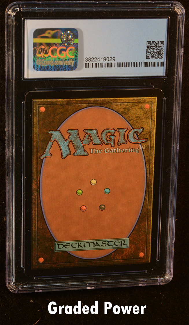 Selkie Hedge-Mage CGC 8 (9029) ITALIAN