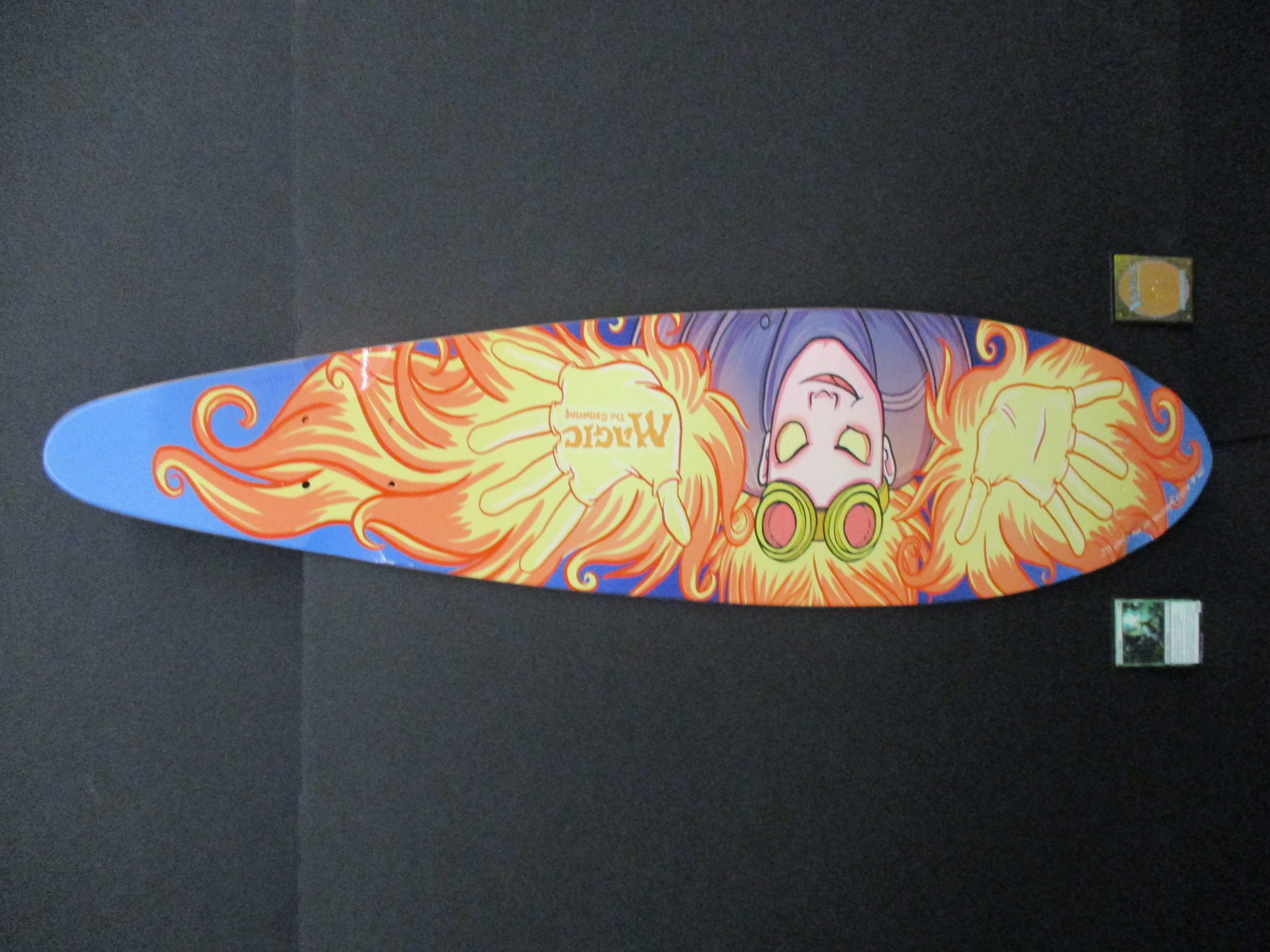 Chandra Longboard Deck Vans Warped Tour