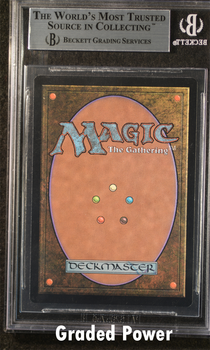 Zodiac Monkey BGS 9