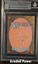 Zodiac Monkey BGS 9