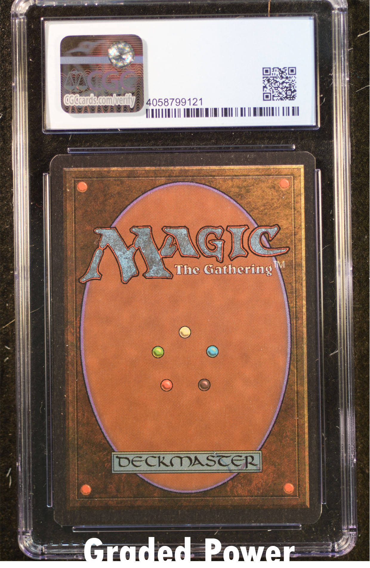 Northern Paladin CGC 9 (9121)