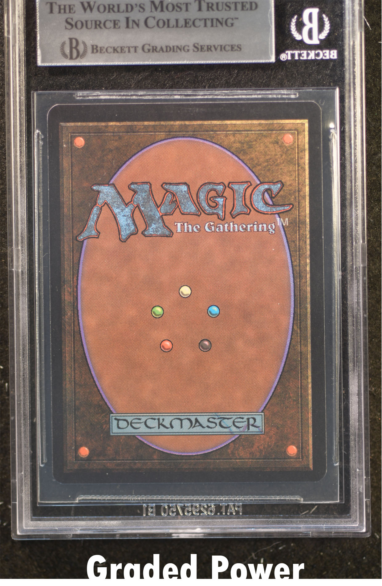 Swamp BGS 9 (2574)
