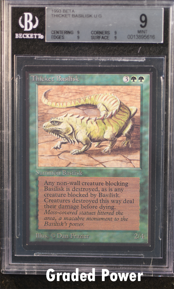 Thicket Basilisk  9  Quad