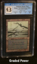 Swamp (Gray Tint) CGC 9.5