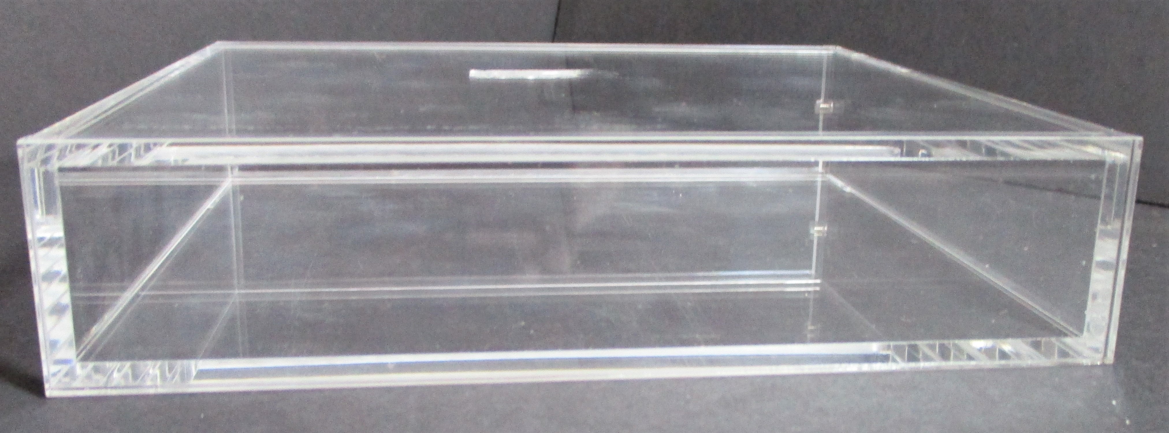 5x PS1 Acrylic Display Guard with Insert (60035)