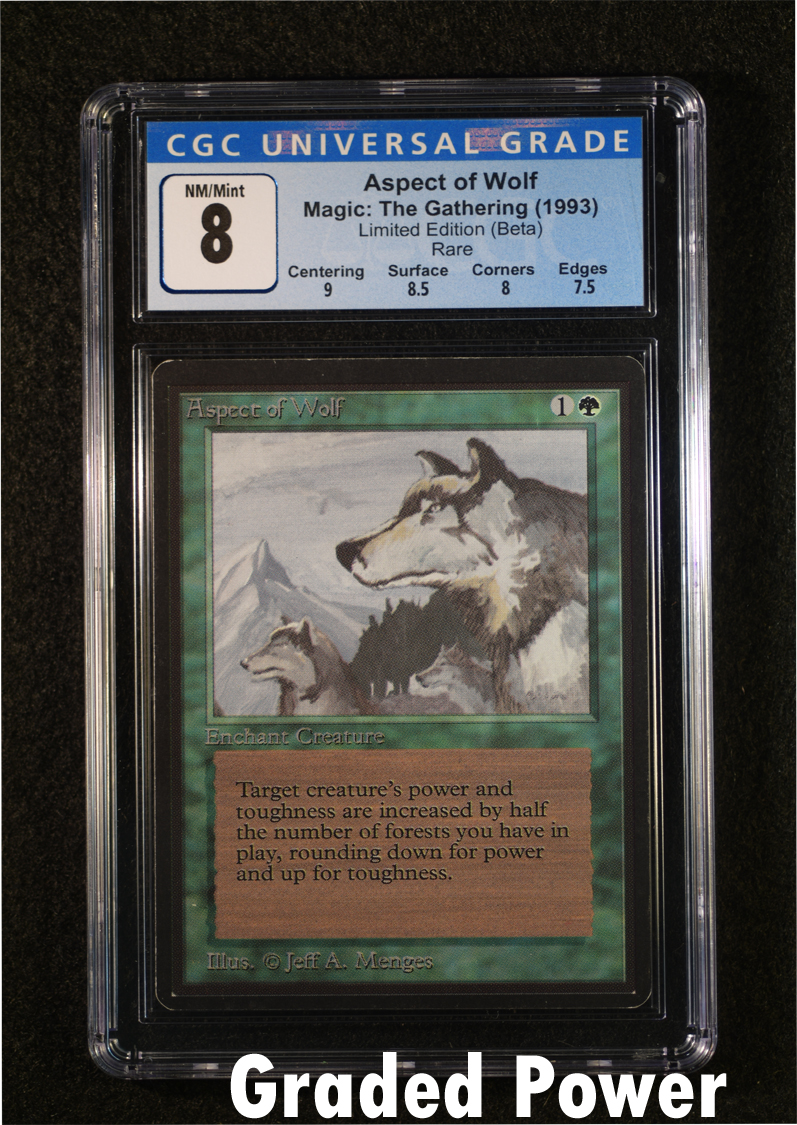 Aspect of Wolf CGC 8