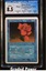 Mana Short CGC 8.5 (9112)