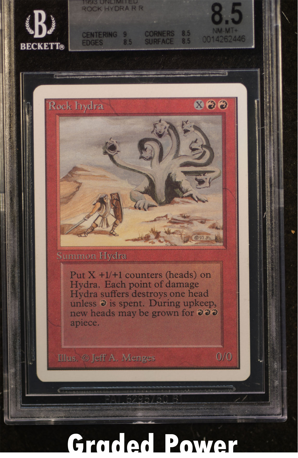Rock Hydra BGS 8.5 (2446)