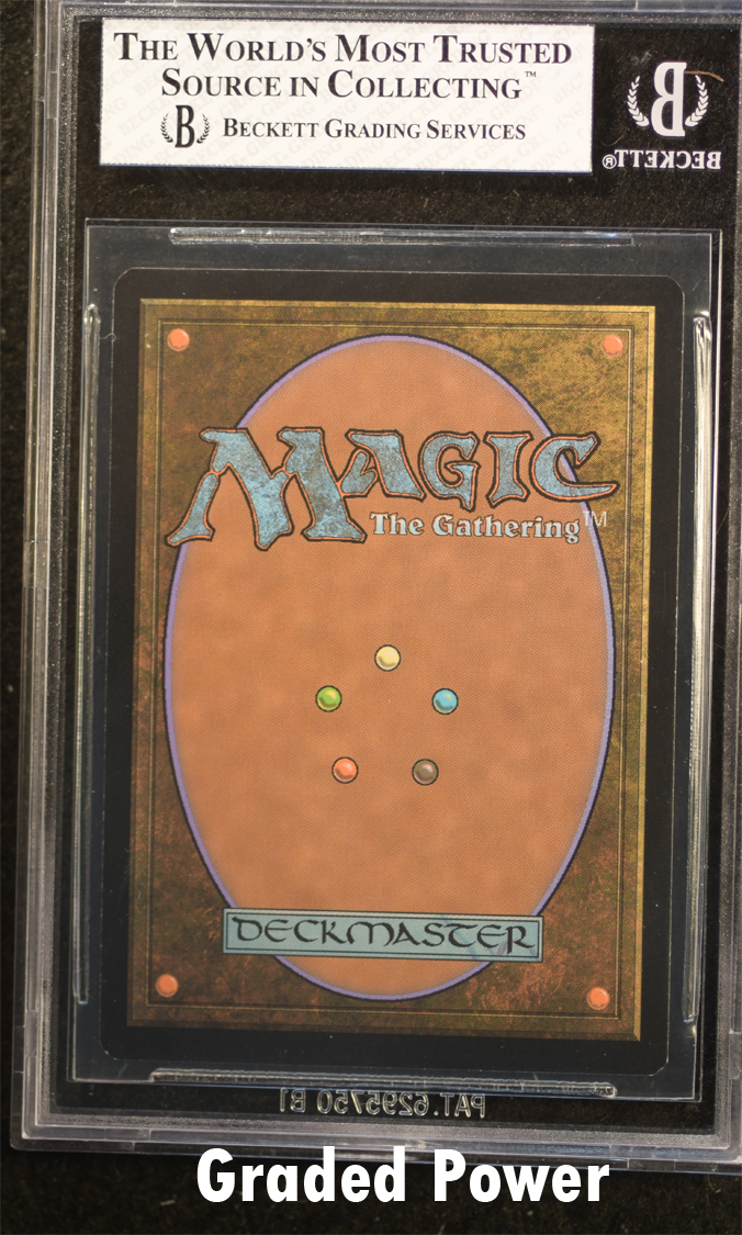 Judge Reward Swamp  8  (8842)