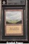 Plains BGS 8.5 (2196)