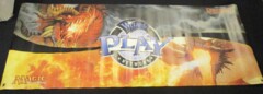 Magic Dungeons and Dragons Wizards of The Coast Play Network Vinyl Poster Hanging Store Display