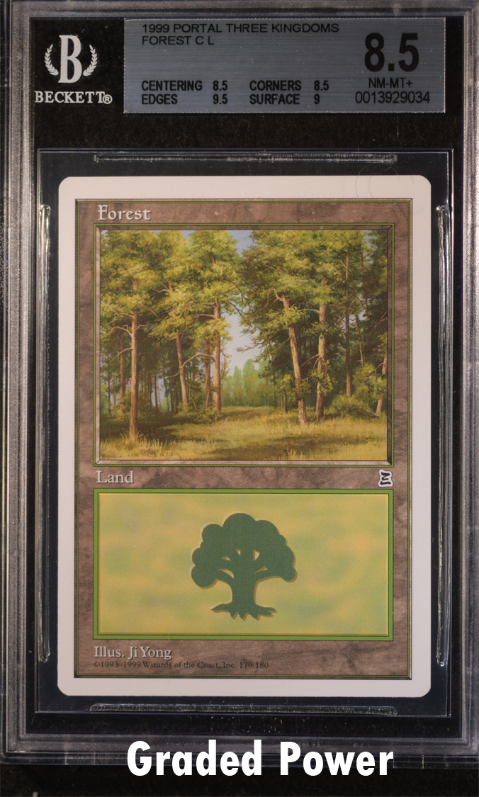 Forest BGS 8.5