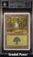 Forest BGS 8.5