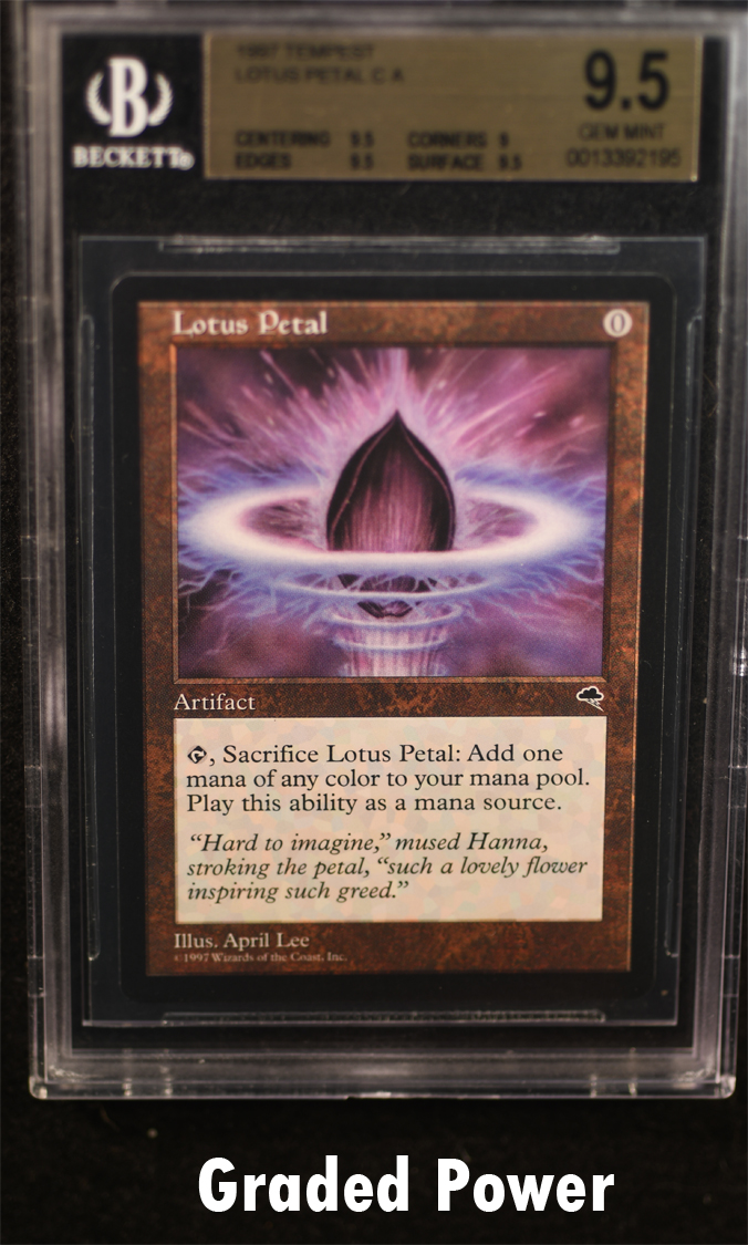Lotus Petal BGS 9.5 (2195)
