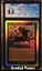 Survival of the Fittest CGC 8.5 FOIL BORDER EXODUS