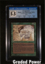 Fungusaur CGC 5.5